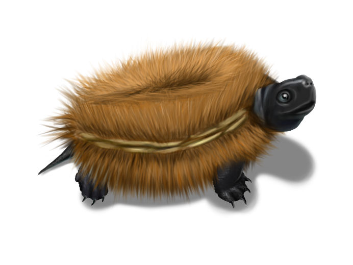 道具兼生物