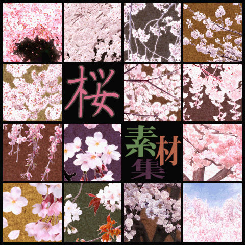 【素材】桜16枚詰め合わせ