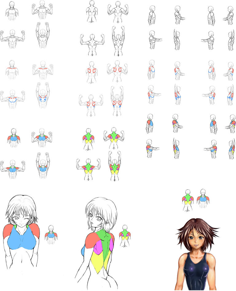 肩の描き方の勉強