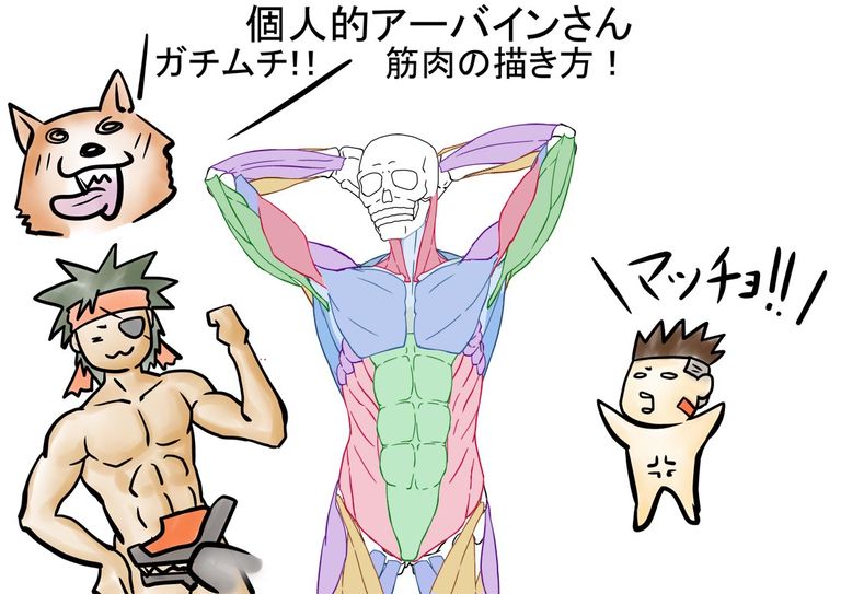 アーバインさんの筋肉の描き方とか、自分用覚え書き【マッチョ！】