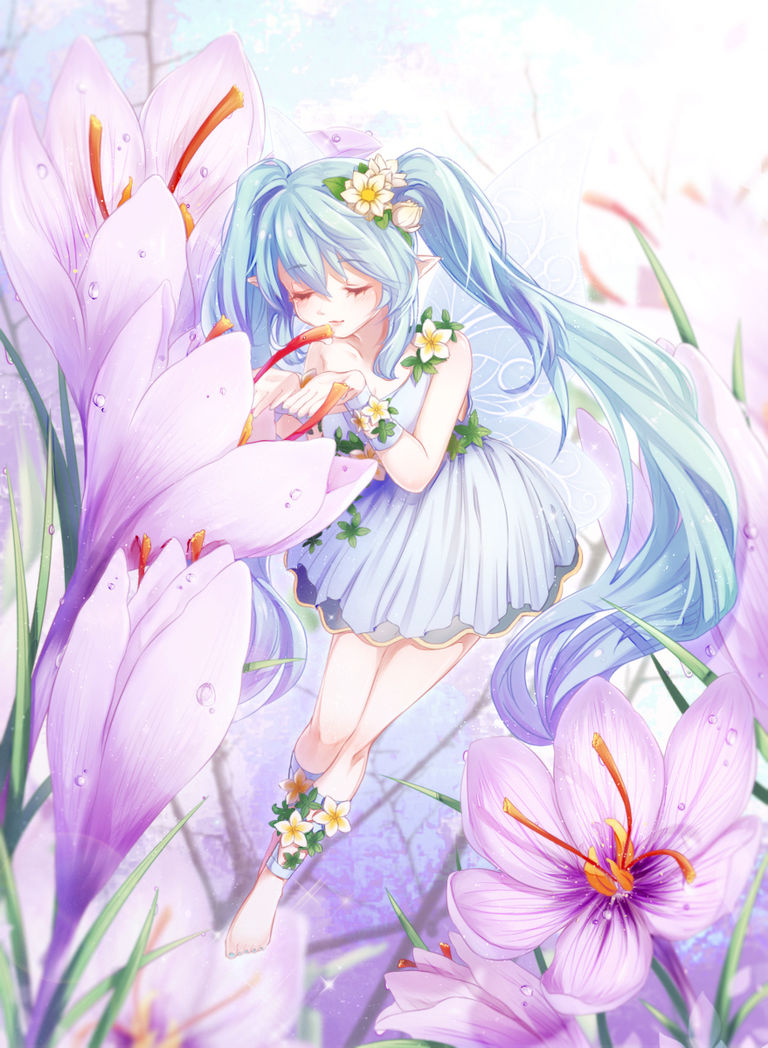 +.。Dewdrops .+.