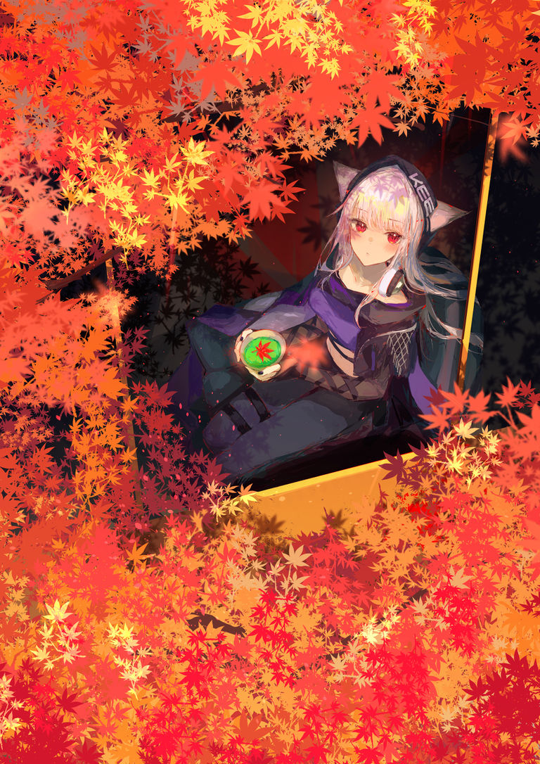 🍁