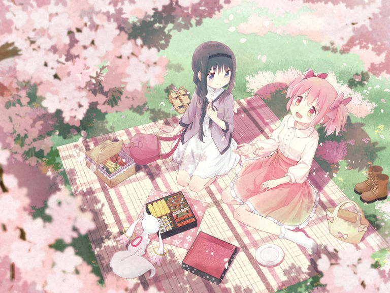 赏花
