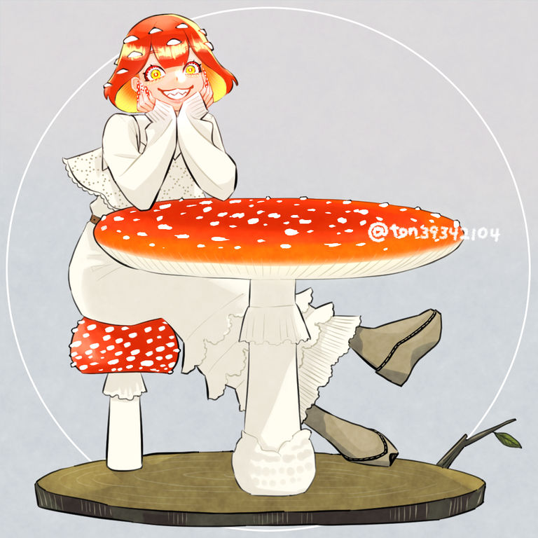 ベニテングタケ☠🍄