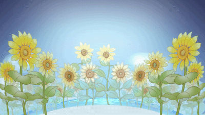 海辺の向日葵畑