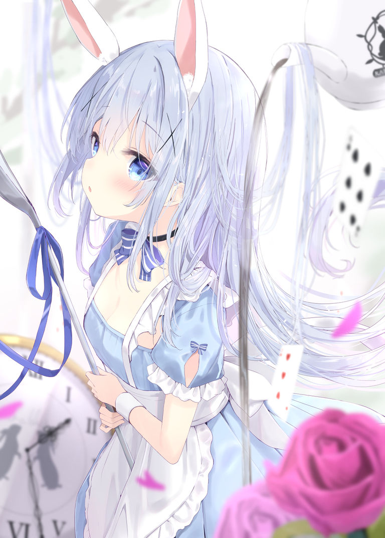 チノちゃん。