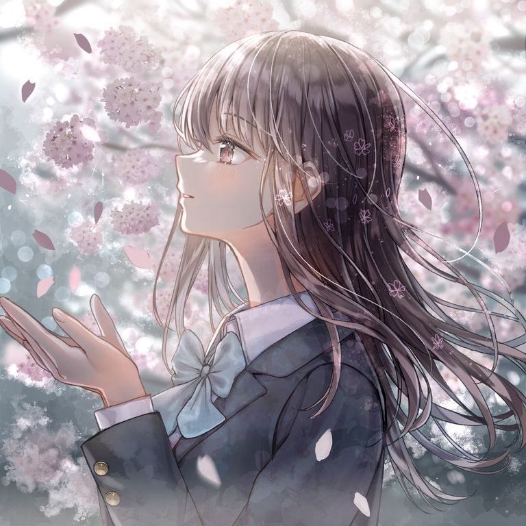 花便り
