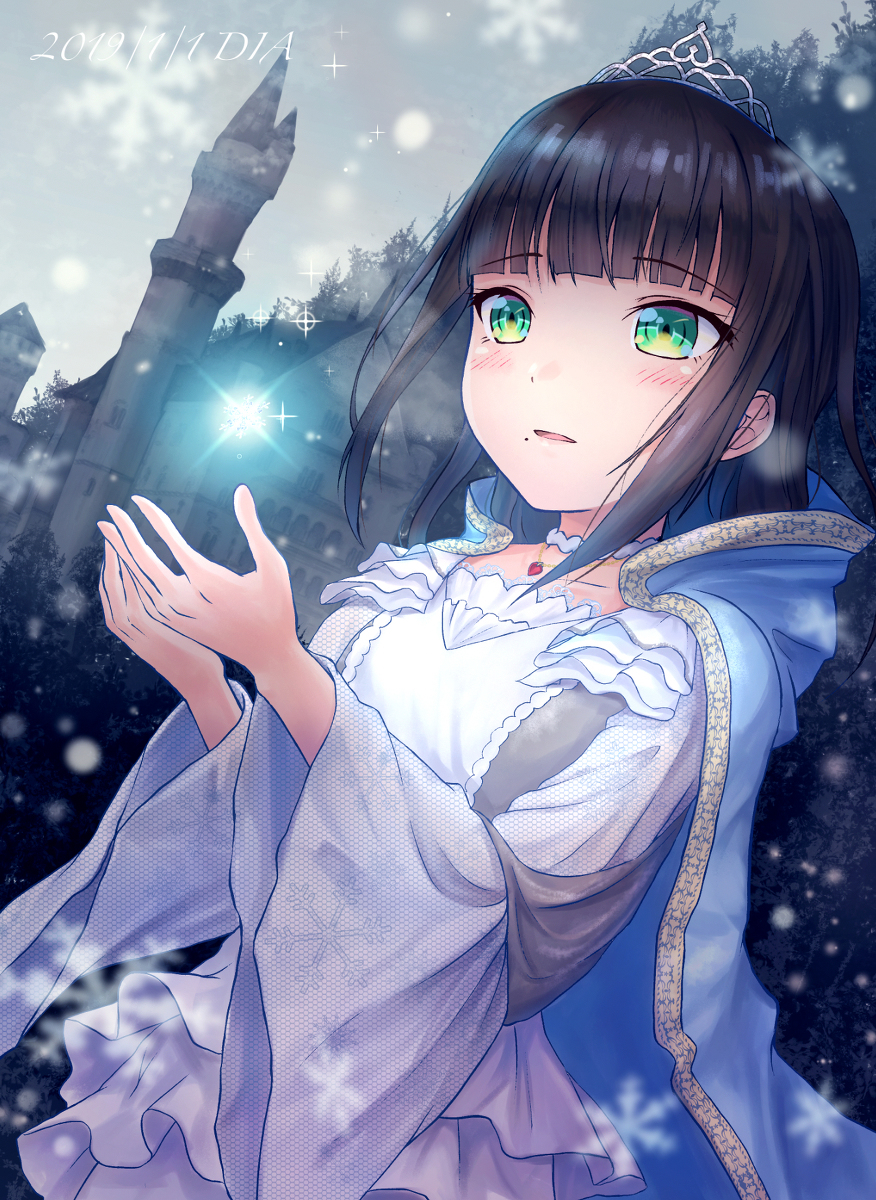 This is a pixiv picture whose title is ダイヤ誕.