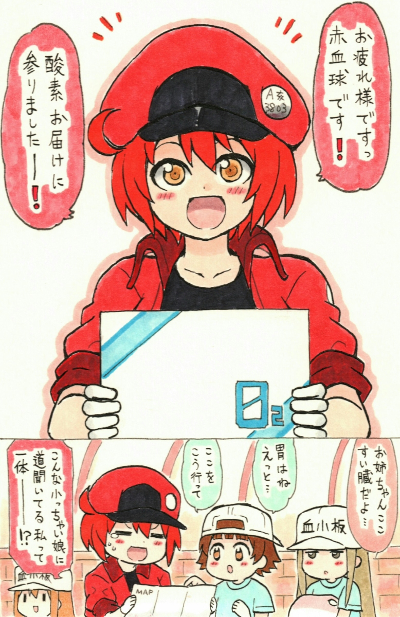 This is a pixiv picture whose title is 赤血球ちゃんが酸素をもって猪突猛進体内循環をするシリーズ②.