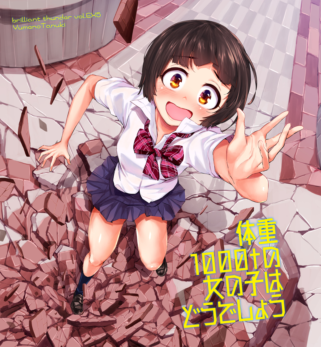 This is a pixiv picture whose title is 体重1000tの女の子はどうでしょう.