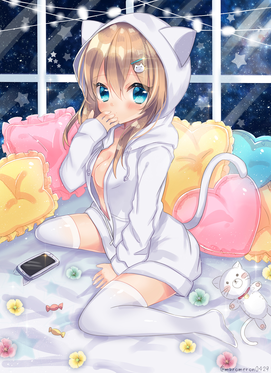 This is a pixiv picture whose title is 猫ぱーかー！.
