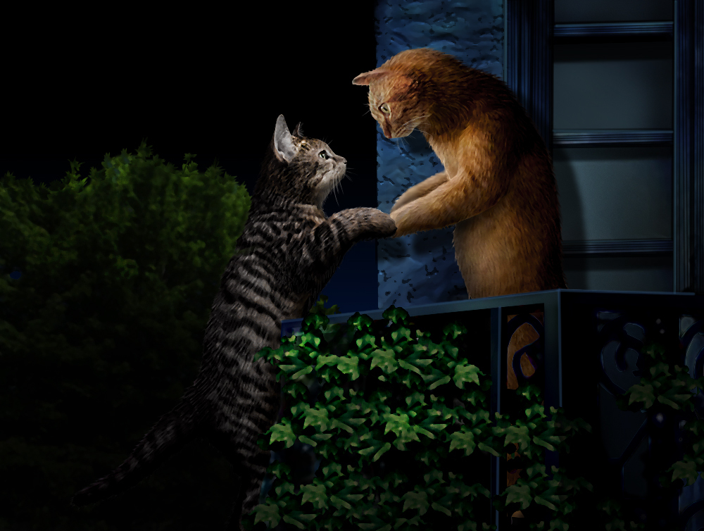 This is a pixiv picture whose title is 猫版ロミオとジュリエット.