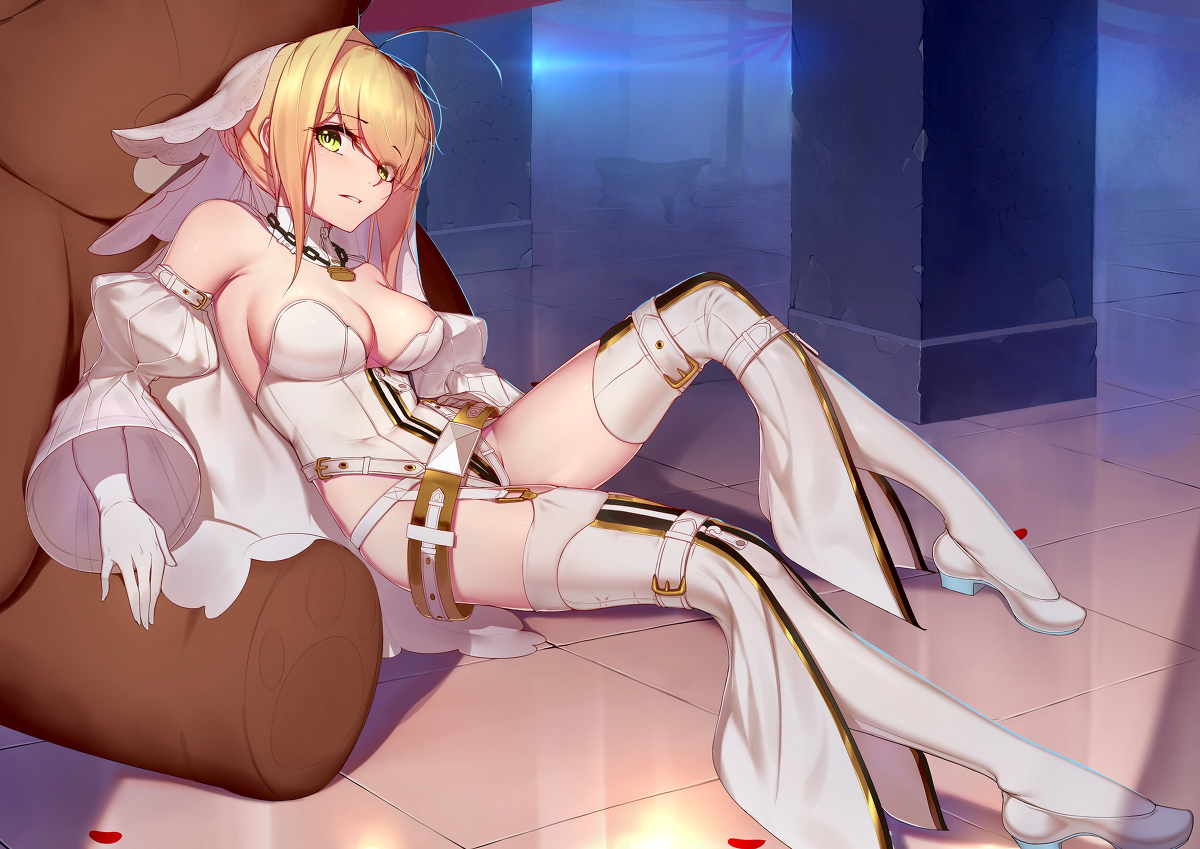 This is a pixiv picture whose title is 尼禄.