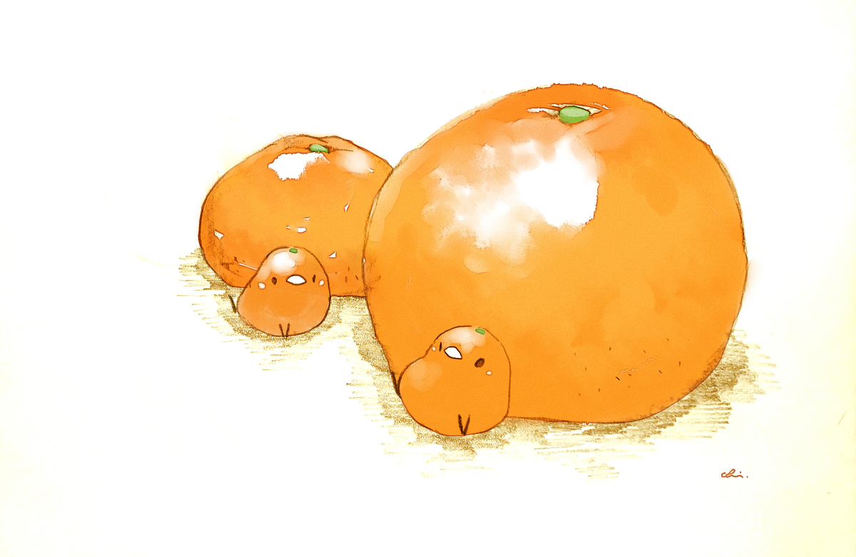This is a pixiv picture whose title is みかんとオレンジ.