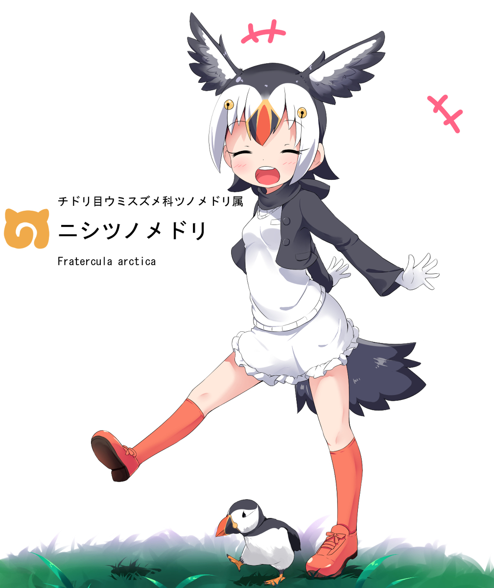 This is a pixiv picture whose title is けものとフレンズ.