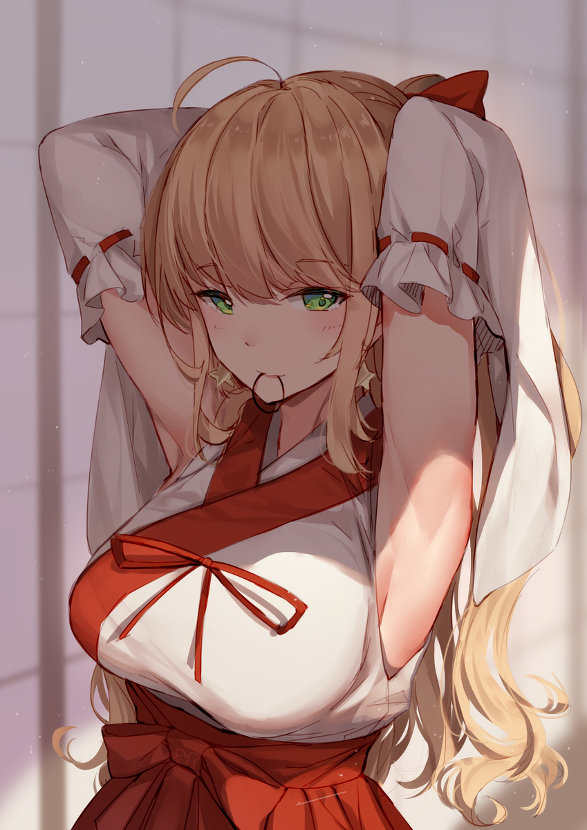 This is a pixiv picture whose title is 金髪腋巫女.
