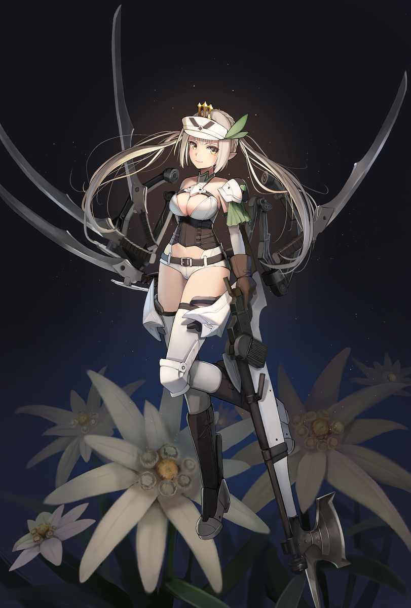 This is a pixiv picture whose title is エーデルワイス.