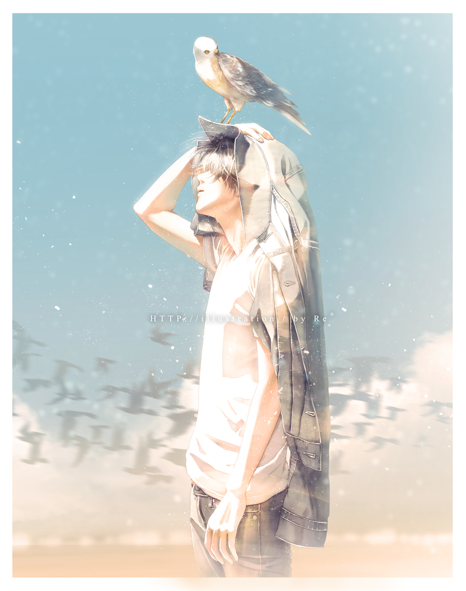 This is a pixiv picture whose title is 旅鳥.