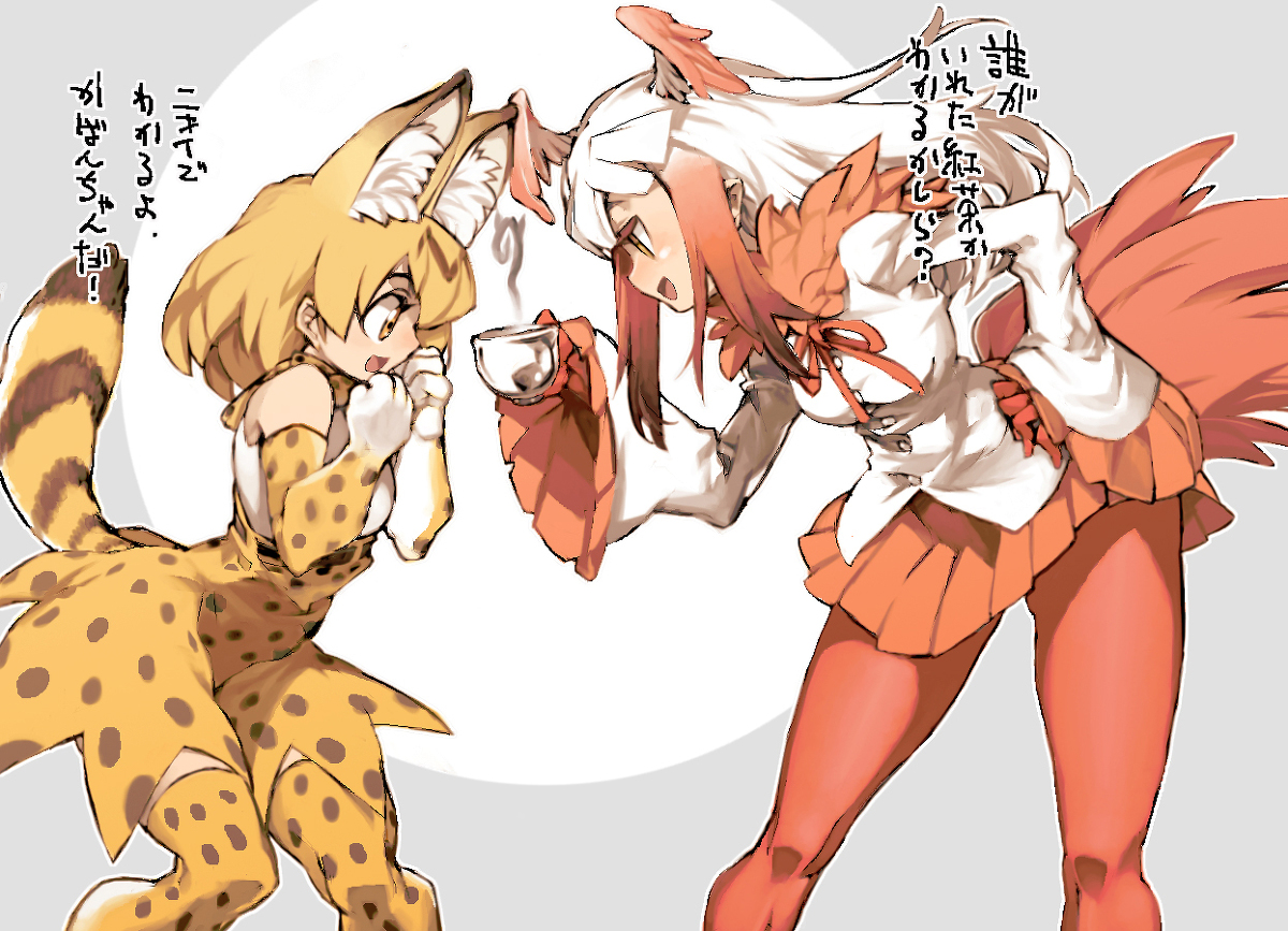 This is a pixiv picture whose title is トキ.