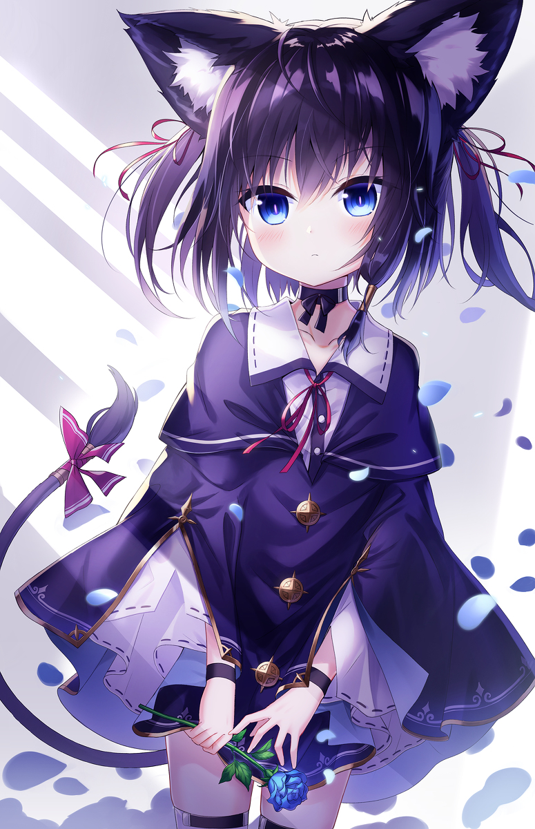 This is a pixiv picture whose title is ツインテール黒猫ちゃん.