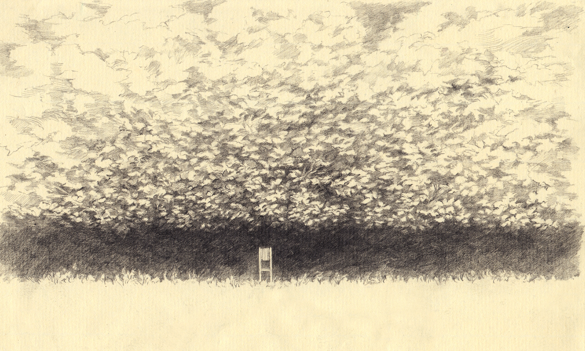 This is a pixiv picture whose title is 色彩の音.