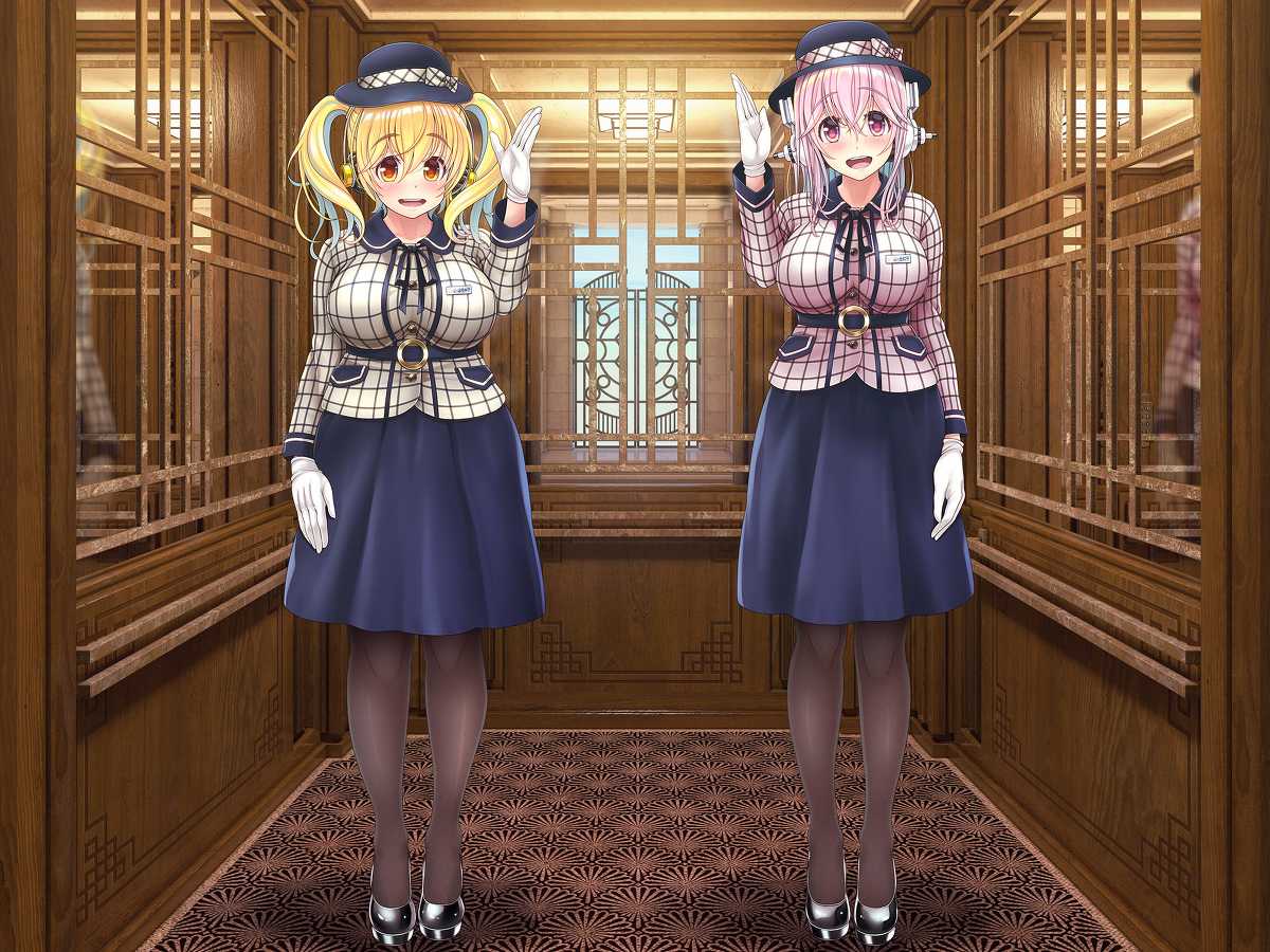 This is a pixiv picture whose title is そにぽちゃエレベーターガール.