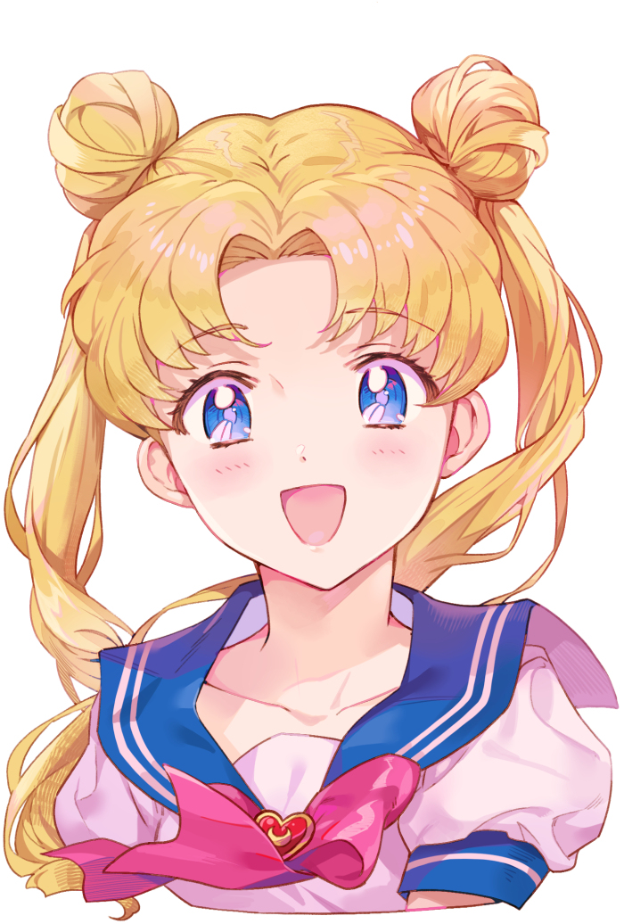 This is a pixiv picture whose title is Sailor Moon.