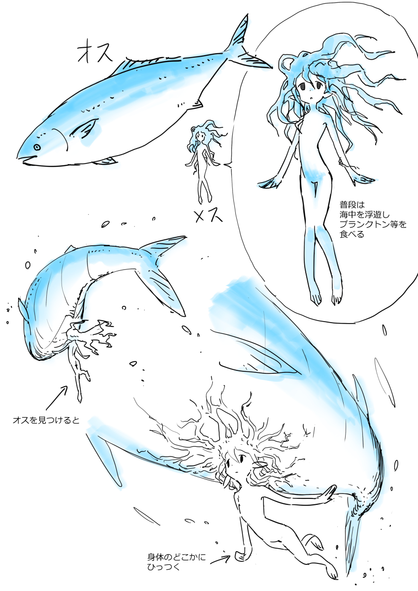 This is a pixiv picture whose title is ウオウオフィッシュライフ.