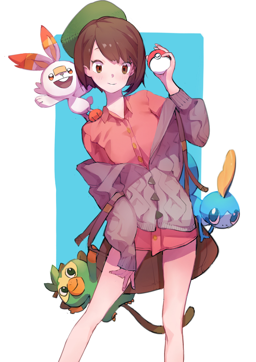 This is a pixiv picture whose title is ポケモン剣盾.