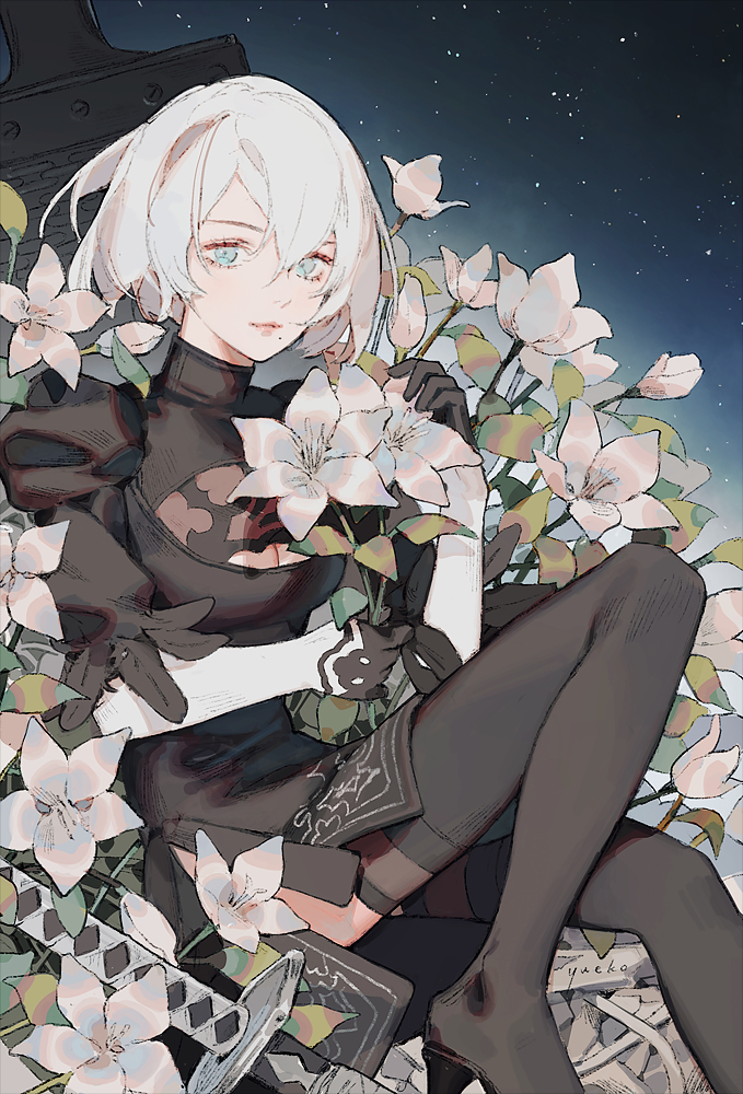 This is a pixiv picture whose title is 2b.