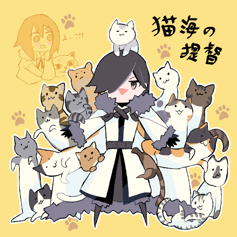 This is a pixiv picture whose title is 【PFLS】猫海の提督オスカー【テイル島の戦】.