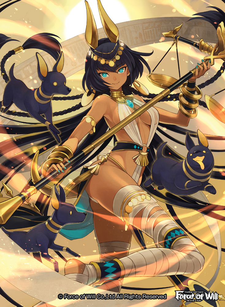 This is a pixiv picture whose title is Force of Will「犬霊将アヌビス」++++.