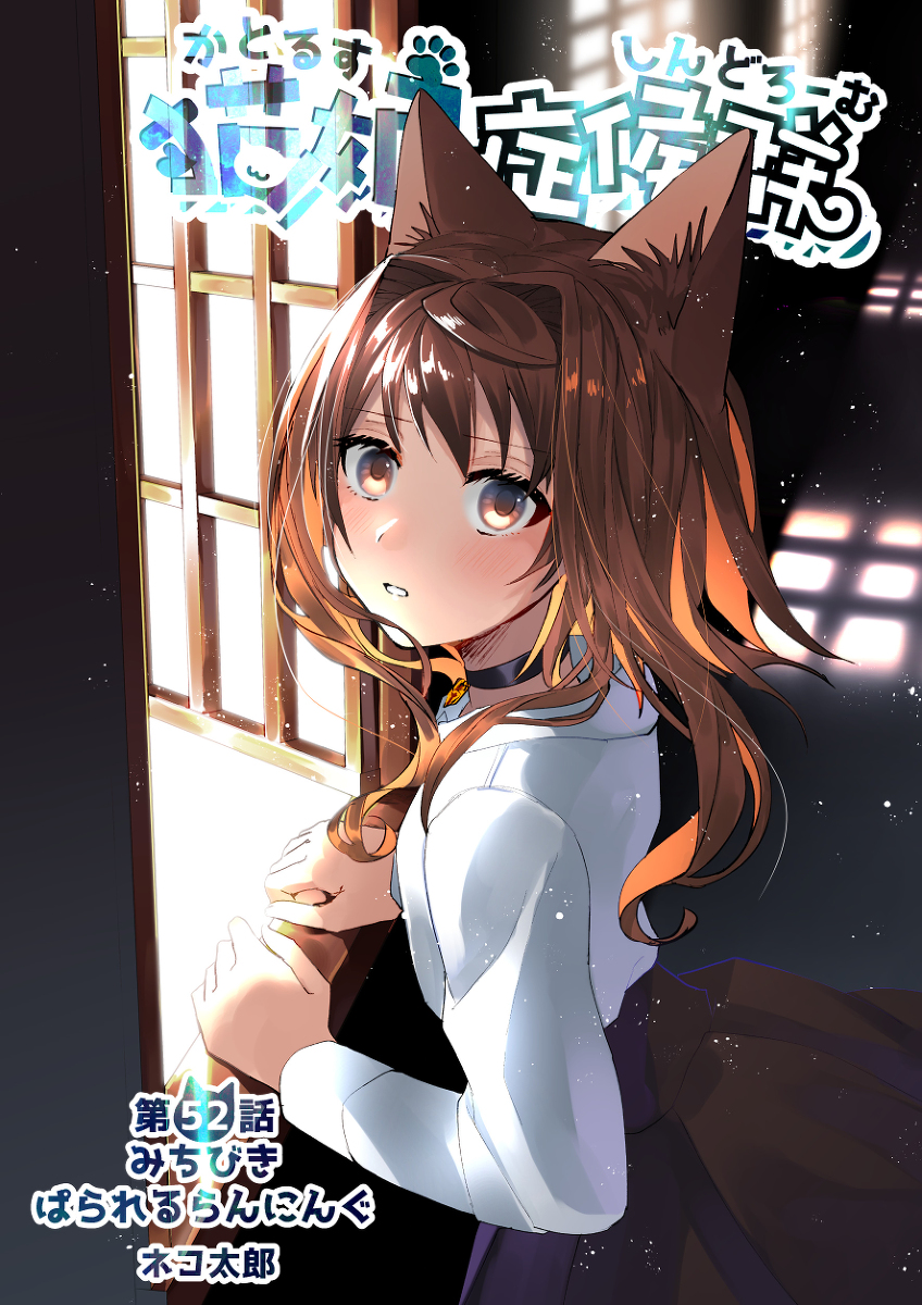 This is a pixiv picture whose title is 【宣伝】猫娘52話.