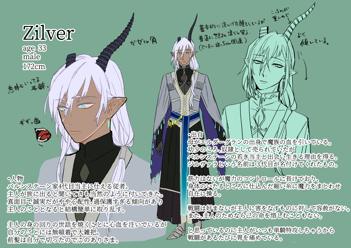 This is a pixiv picture whose title is ジルヴァラ補足.