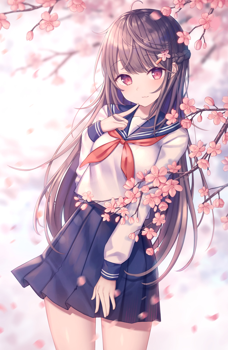 This is a pixiv picture whose title is 🌸.