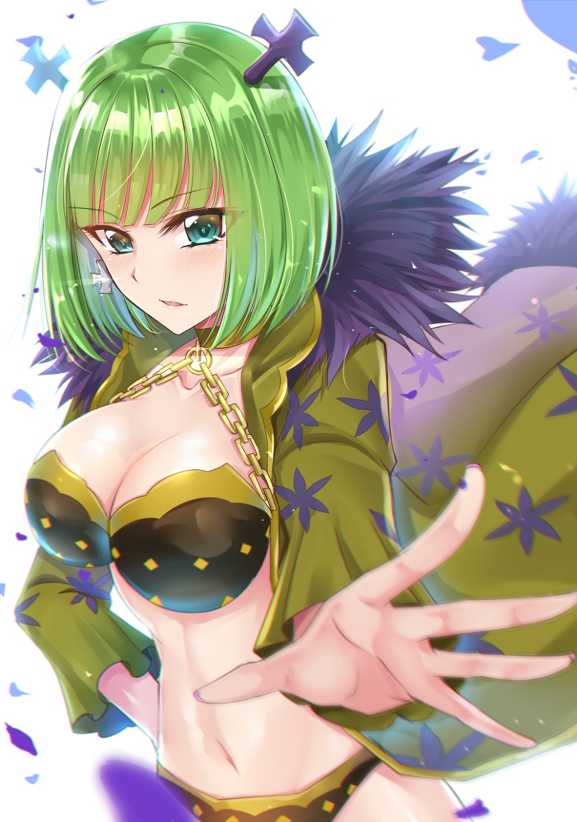 This is a pixiv picture whose title is ブランディッシュ.
