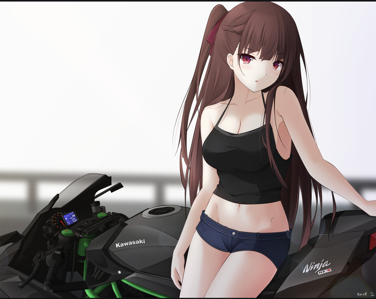 This is a pixiv picture whose title is WA2000 - Ninja H2 R.