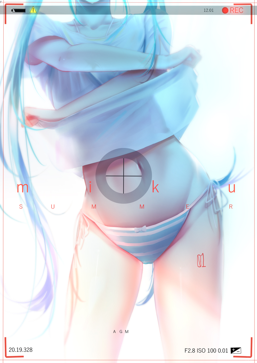 This is a pixiv picture whose title is miku   夏日写真.