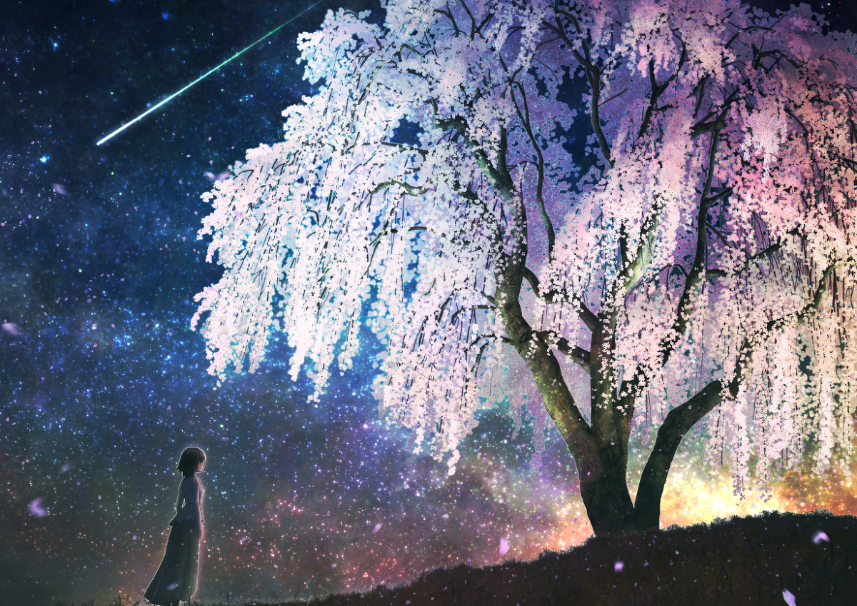 This is a pixiv picture whose title is 星と桜が降る夜に.