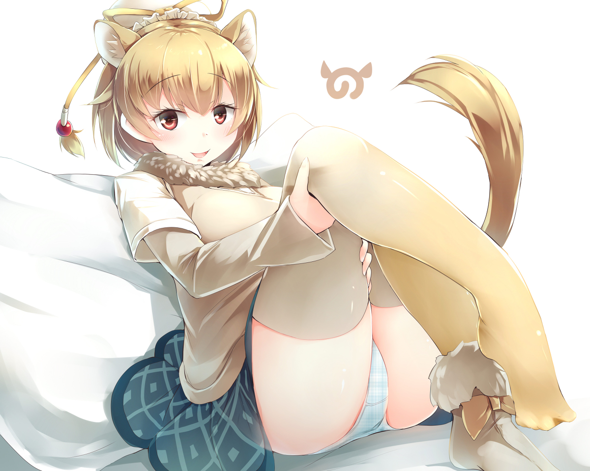 This is a pixiv picture whose title is ヒトコブラクダちゃん.