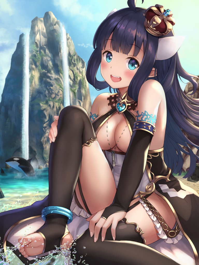 This is a pixiv picture whose title is シャチ娘　「シイク」.