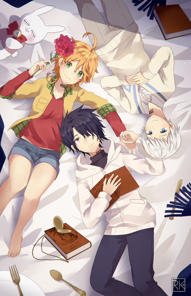 This is a pixiv picture whose title is 約束のネバーランド.