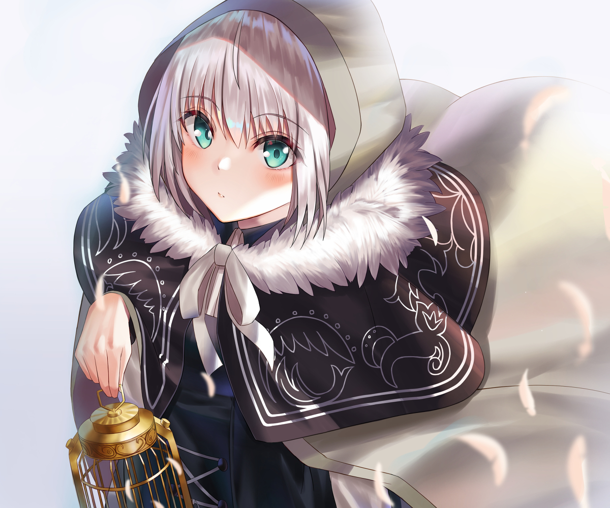 This is a pixiv picture whose title is Fate/GrandOrder.