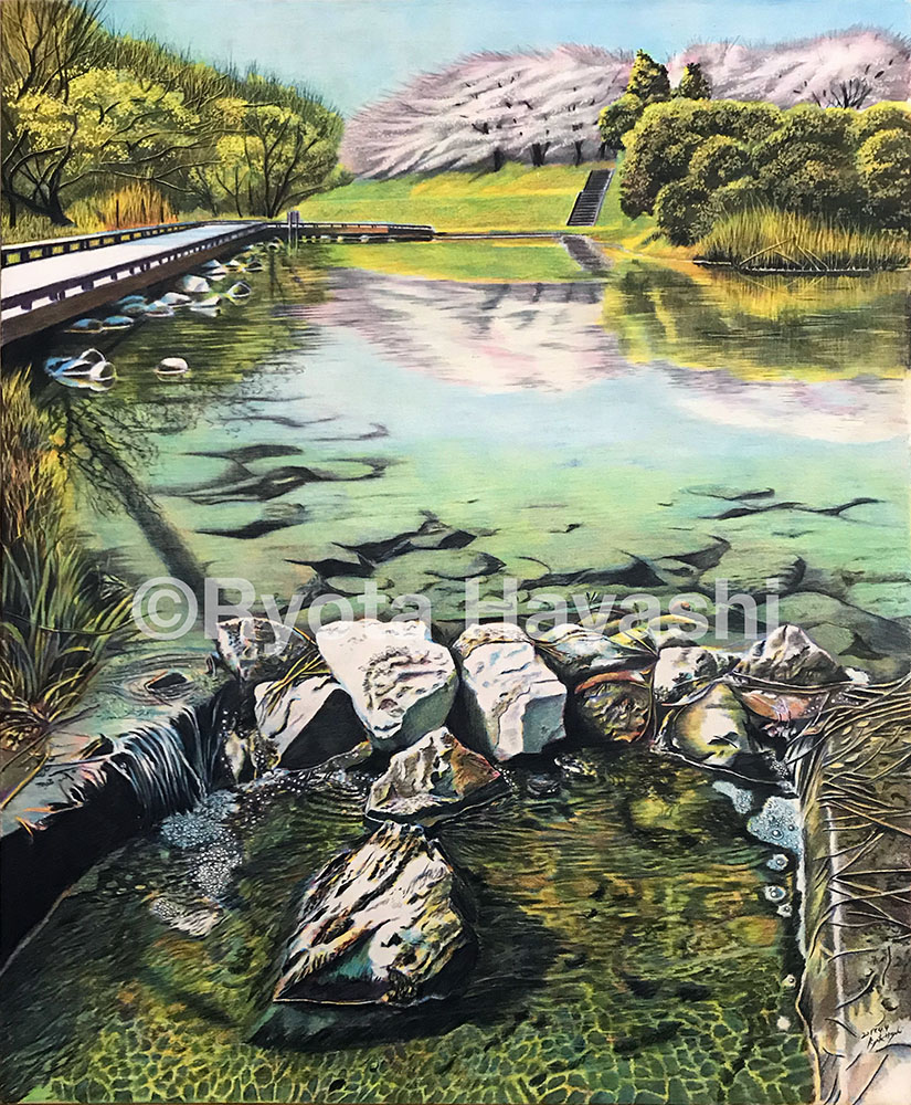 This is a pixiv picture whose title is 薫風晴明 清瀬市金山緑地公園.