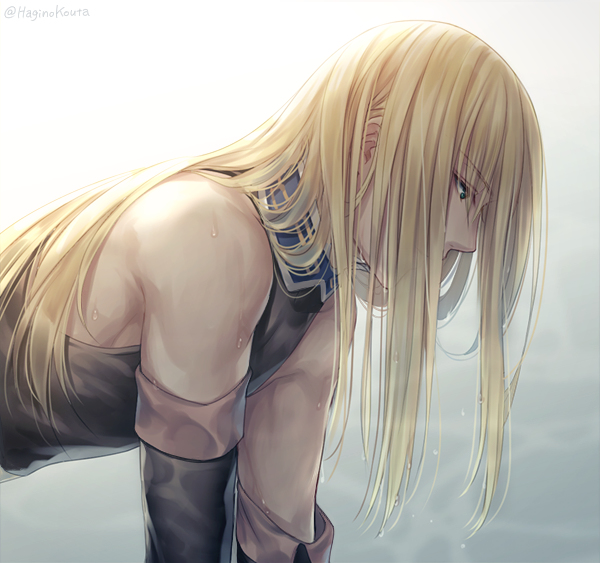 This is a pixiv picture whose title is 天蓋.