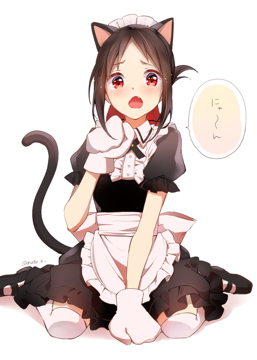 This is a pixiv picture whose title is 猫耳かぐや様.