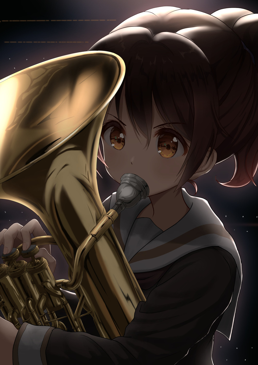 This is a pixiv picture whose title is 響かせたい！.