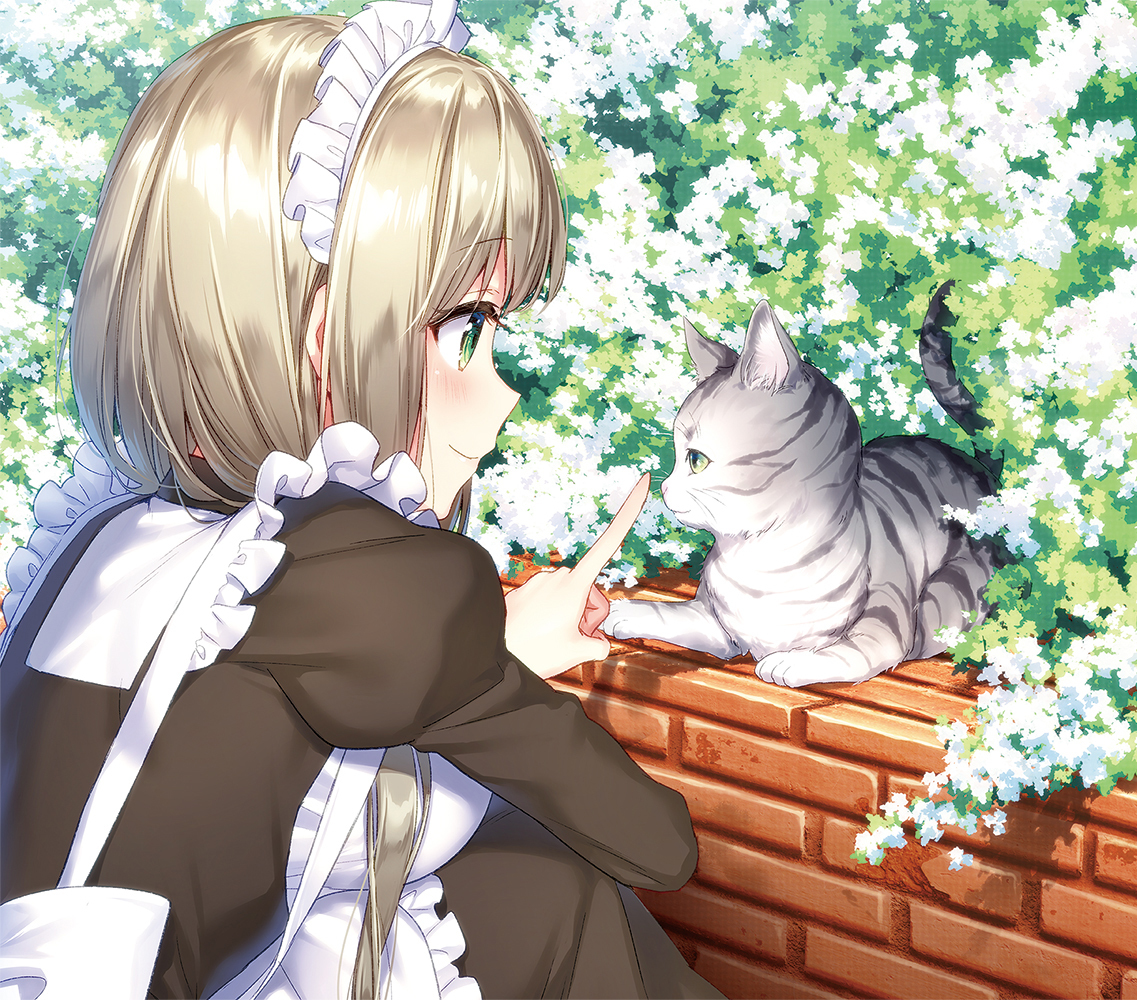 This is a pixiv picture whose title is FANBOX更新※プラン内容変更.