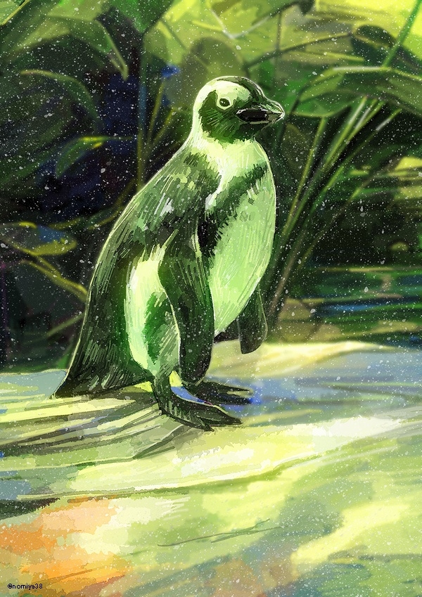 This is a pixiv picture whose title is 待ちペンギン来たらず.