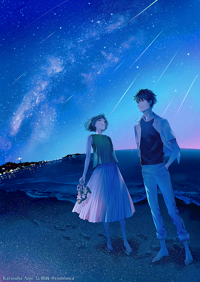 This is a pixiv picture whose title is 流星の消える日まで.